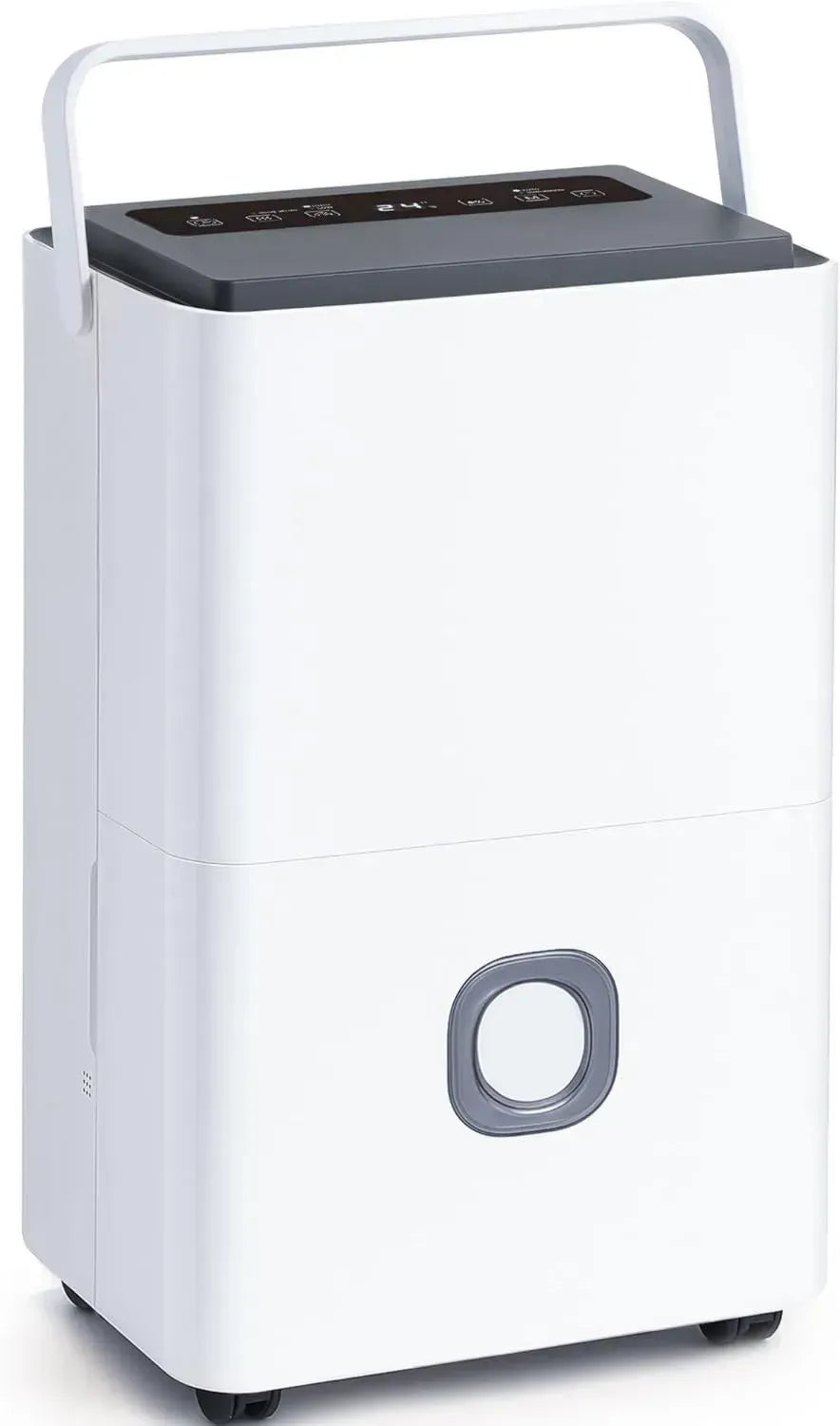 Déshumidificateur Professionnel 65L/Jour avec Réservoir 4,5L et Drainage Continu